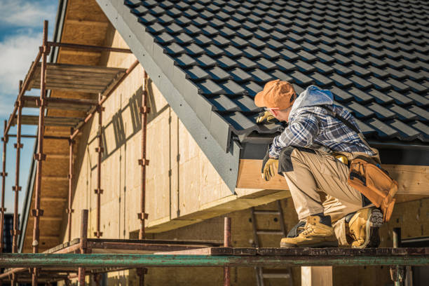 Best Gutter Installation and Repair  in Ruhenstroth, NV
